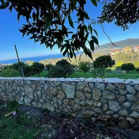 Garden Debar * Centola