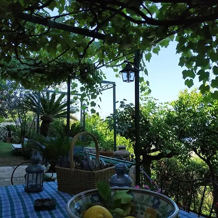 Apartamento Garden Debar Centola